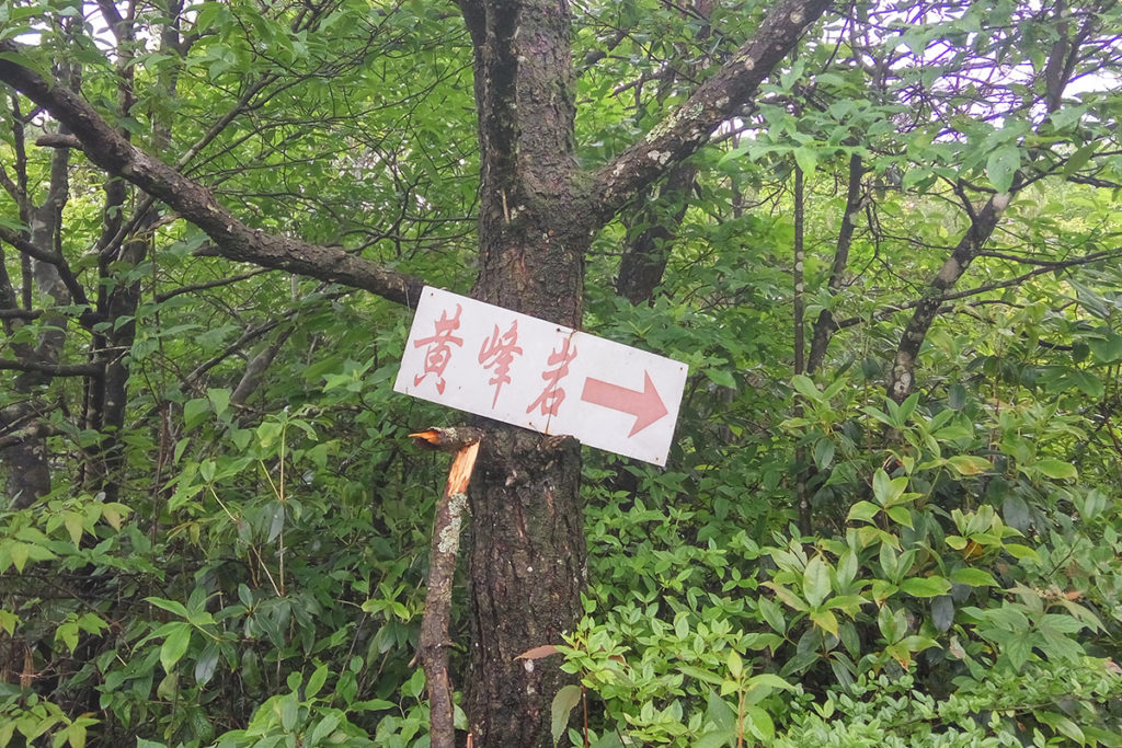 Emeifeng_Trail
