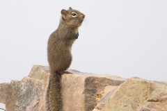 At Lushan County, Henan, China