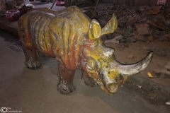 Rhino