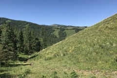 Butterfly and Bird Valley at Kanas