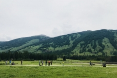 Kanas
