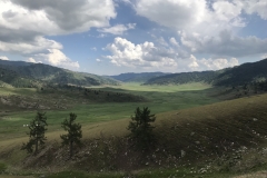 Kanas